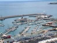 Lanzarote acoger el Torneo de Pesca de Altura Marina Rubicn Marlin Cup 2010