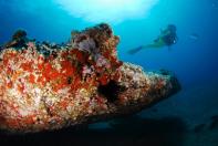 La Semana del Mundo Submarino de Sardina ya est en marcha