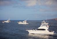 El 19 Concurso de Pesca de Altura Puerto Calero, a una semana de su arranque