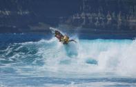 El australiano Dan Ross ganador del Circuito Mundial de surf en El Confital